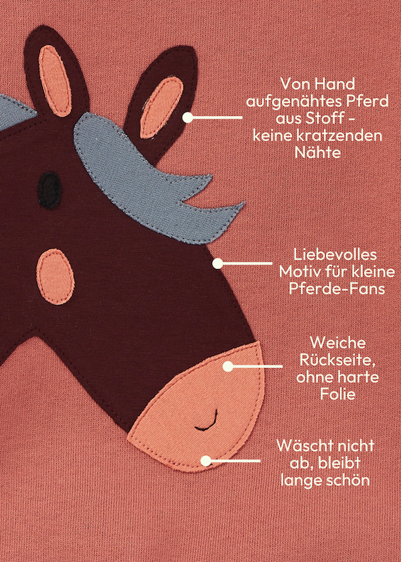 Nahaufnahme der liebevollen Applikation zum Pferde Pullover für Kinder von internaht