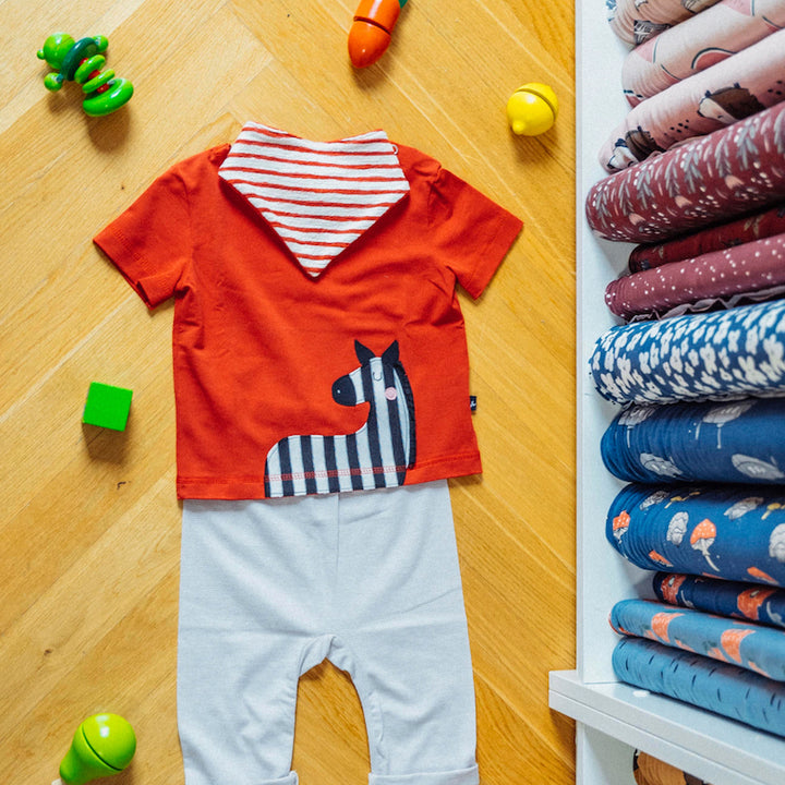 Baby Outfit mit T-Shirt mit Zebra, Baby Hose und Halstuch aus Biobaumwolle von internaht