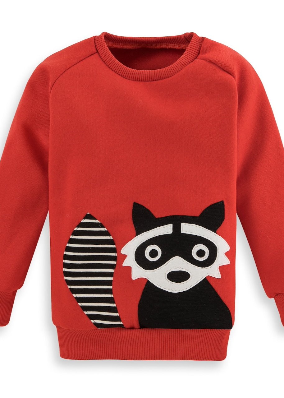 Waschbär Sweatshirt für Kinder aus 100% Bio Baumwolle von internaht